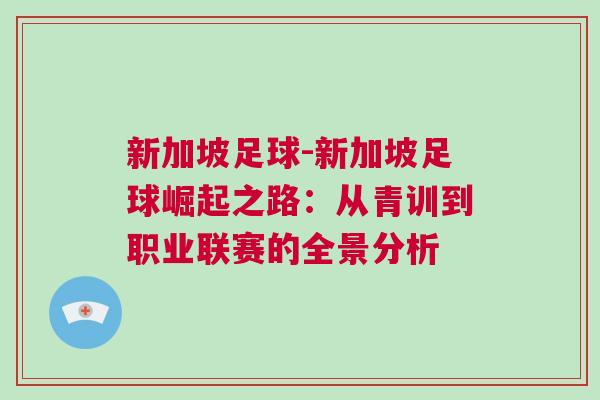 新加坡足球-新加坡足球崛起之路：從青訓到職業(yè)聯賽的全景分析