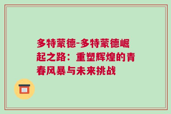 多特蒙德-多特蒙德崛起之路：重塑輝煌的青春風(fēng)暴與未來(lái)挑戰(zhàn)