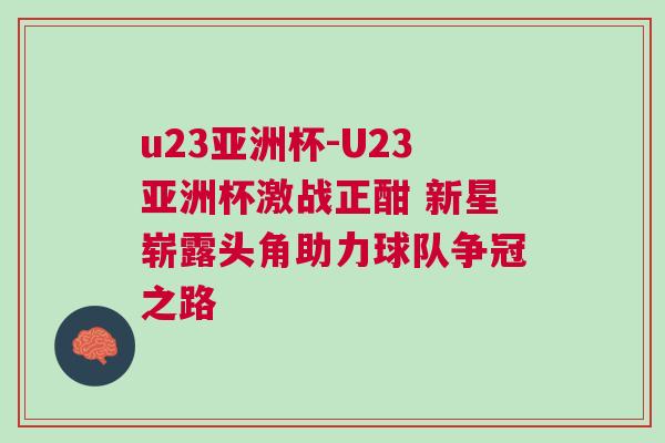 u23亞洲杯-U23亞洲杯激戰(zhàn)正酣 新星嶄露頭角助力球隊爭冠之路