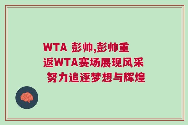 WTA 彭帥,彭帥重返WTA賽場展現(xiàn)風(fēng)采 努力追逐夢想與輝煌
