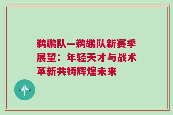 鵜鶘隊—鵜鶘隊新賽季展望：年輕天才與戰(zhàn)術(shù)革新共鑄輝煌未來