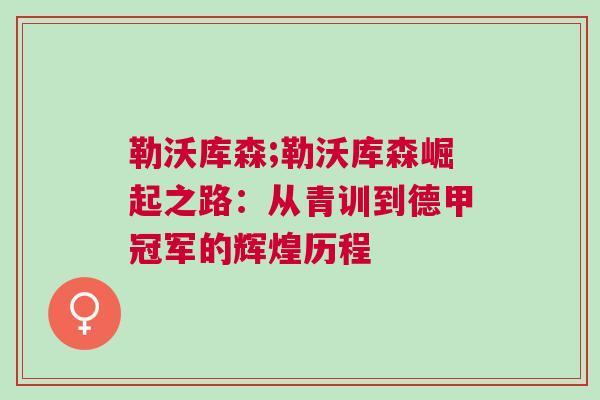 勒沃庫森;勒沃庫森崛起之路：從青訓到德甲冠軍的輝煌歷程