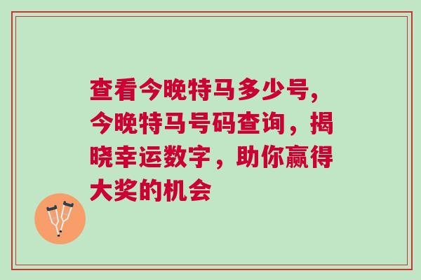 查看今晚特馬多少號,今晚特馬號碼查詢，揭曉幸運數字，助你贏得大獎的機會