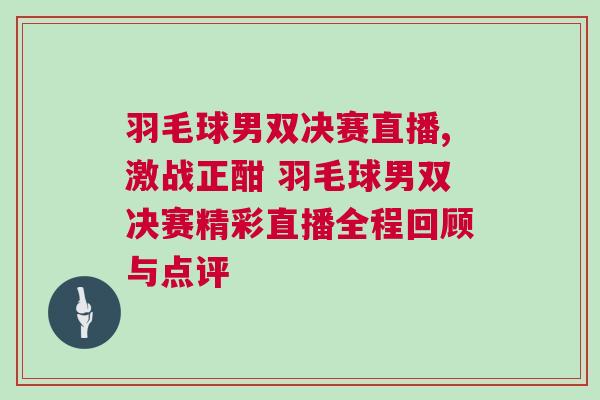 羽毛球男雙決賽直播,激戰正酣 羽毛球男雙決賽精彩直播全程回顧與點評