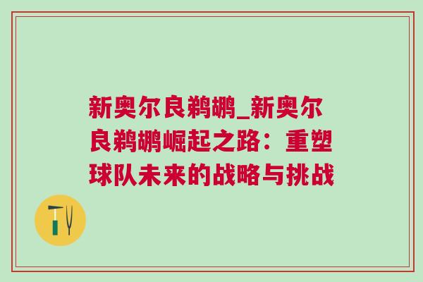 新奧爾良鵜鶘_新奧爾良鵜鶘崛起之路：重塑球隊未來的戰略與挑戰