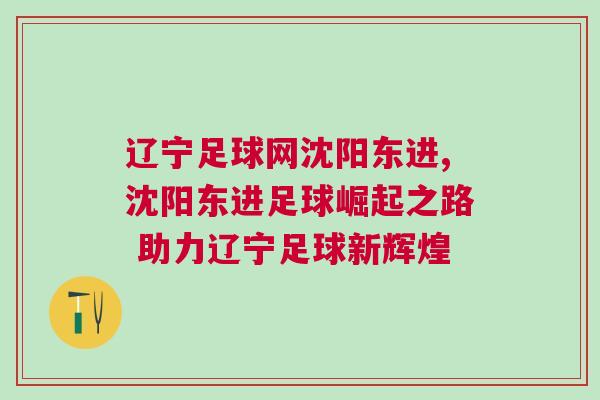 遼寧足球網沈陽東進,沈陽東進足球崛起之路 助力遼寧足球新輝煌